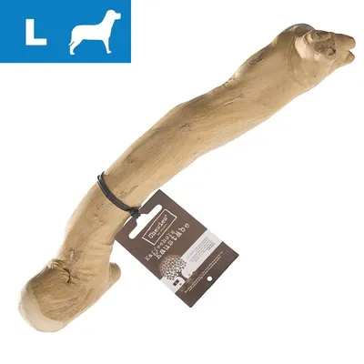 Bastone in legno naturale con etichetta Obedience, taglia L visibile su sfondo blu con icona cane. Testo sull'etichetta: 'Kauholz Kaustab'.