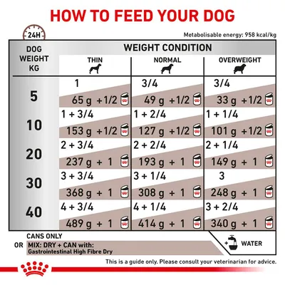 Feeding guide table showing daily food amounts for dogs by weight and condition: thin, normal, overweight. Includes grams, can portions, and mixing instructions with Gastrointestinal High Fibre Dry.