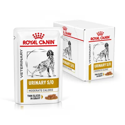 ROYAL CANIN VETERINARY URINARY S/O MODERATE CALORIE thin slices in gravy dog food pouch and box, white packaging with dog image and gold label
