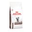 Royal Canin Veterinary Feline Gastrointestinal 2 kg