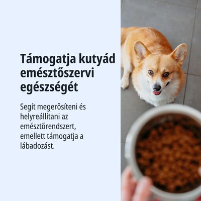 Támogatja kutyád emésztési egészségét, segít megerősíteni és helyreállítani az emésztőrendszert, valamint elősegíti a felépülést.