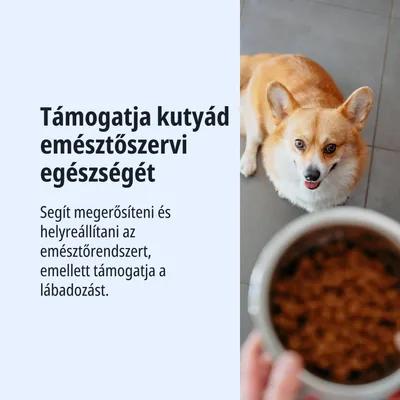 Támogatja kutyád emésztési egészségét, segít megerősíteni és helyreállítani az emésztőrendszert, valamint elősegíti a felépülést.