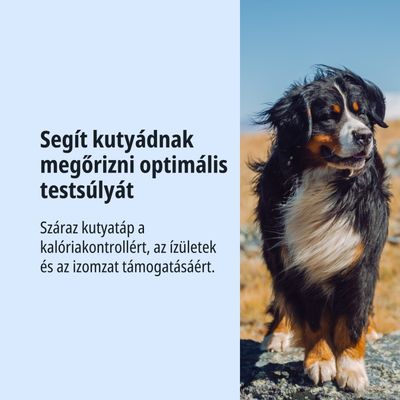 Száraz kutyatáp kalóriakontrollhoz, az ízületek és izmok támogatására. Segít megőrizni az optimális testsúlyt.