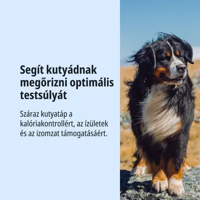 Száraz kutyatáp kalóriakontrollhoz, az ízületek és izmok támogatására. Segít megőrizni az optimális testsúlyt.