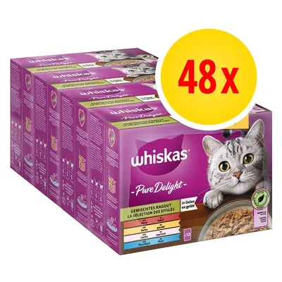 Whiskas Pure Delight, 48x saszetek, mieszany ragout w galarecie. Widoczne smaki: wołowina, kurczak, łosoś, tuńczyk. Opakowanie z kotem i miską karmy. Whiskas Pure Delight, 48x saszetek, mieszany ragout w galarecie. Widoczne smaki: wołowina, kurczak, łosoś, tuńczyk. Opakowanie z kotem i miską karmy.
