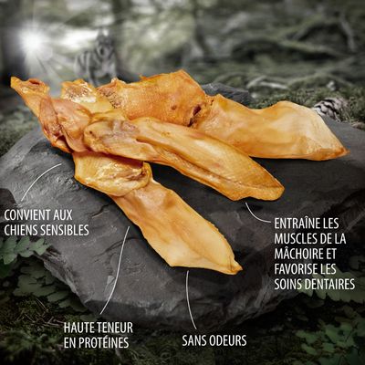 Oreilles de porc séchées avec textes : convient aux chiens sensibles, haute teneur en protéines, sans odeurs, entraîne les muscles de la mâchoire et favorise les soins dentaires.