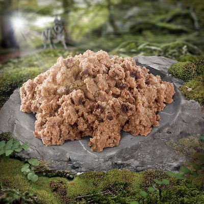 Nahaufnahme von feuchtem Tierfutter auf einem Stein, umgeben von Waldlandschaft. Im Hintergrund ein Wolf sichtbar.