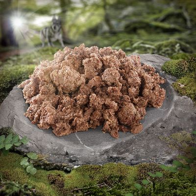 Nahaufnahme von fleischähnlichen Brocken auf einem Stein, im Hintergrund Waldlandschaft mit Wolfssilhouette.