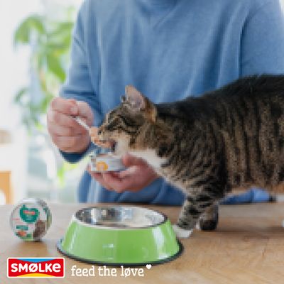 Persoană hrănește o pisică cu hrană umedă de la Smølke, bolul și conserva de hrană sunt vizibile. Text: Smølke feed the love.