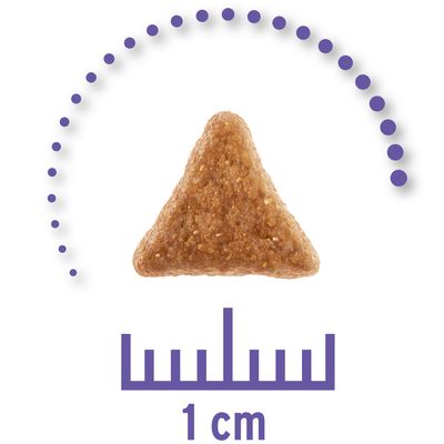 Kolmionmuotoinen lemmikinruokanappula, alla mitta-asteikko ja teksti '1 cm' osoittamassa nappulan kokoa.