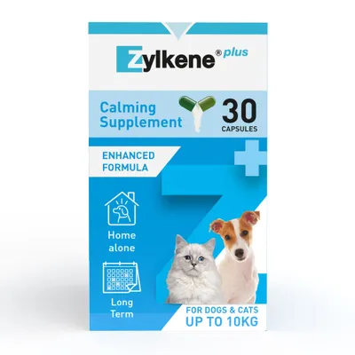 Zylkene Plus Calming Supplement 75mg for Small Dogs or Cats <10kg - Saver Pack: 2 x 30 Capsules