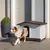 Perro de tamaño mediano saliendo de una caseta de plástico blanca con techo marrón, situada en un patio exterior junto a una planta en maceta.
