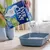 Ever Clean Extra Hygiene Katzenstreu wird in eine Katzentoilette gefüllt. Verpackung mit Aufschrift: Advanced Clumping Cat Litter, Adult, 10L. Ever Clean Extra Hygiene Katzenstreu wird in eine Katzentoilette gefüllt. Verpackung mit Aufschrift: Advanced Clumping Cat Litter, Adult, 10L.