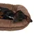 Braunes Hundebett mit einem liegenden Hund. Zeigt die Grösse und Polsterung des Bettes.