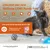 Wellness CORE Purely Paté features: supports energy, balanced meal, boosts water intake, grain-free, hypo-allergenic, no grains or artificial additives, supports brain and eye development.
