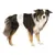 Chien adulte portant une bande blanche autour de l’abdomen, illustrant l’utilisation d’une ceinture hygiénique pour animaux. Fourrure longue, couleurs noir, blanc et brun. Chien adulte portant une bande blanche autour de l’abdomen, illustrant l’utilisation d’une ceinture hygiénique pour animaux. Fourrure longue, couleurs noir, blanc et brun.