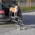 Klappbare Hundetreppe aus Metall, befestigt an einem Auto-Kofferraum. Ein mittelgroßer Hund steht auf der obersten Stufe.