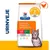 Hill's Prescription Diet Urinary Stress + Metabolic, c/d Stress Multicare, vægtkontrol, klinisk dokumenteret, opløser struvitsten på 7 dage, anbefalet af dyrlæger. Hill's Prescription Diet Urinary Stress + Metabolic, c/d Stress Multicare, vægtkontrol, klinisk dokumenteret, opløser struvitsten på 7 dage, anbefalet af dyrlæger.