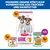 Hill's Science Plan Puppy <1 Small & Mini mit Huhn