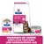 Hill's Prescription Diet Gastrointestinal Biome für Katzen. Trocken- und Nassnahrung, empfohlen von Tierärzten, mit Verdauungs- und Ballaststoffpflege.