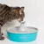PetSafe Trinkbrunnen mit blauem Behälter und weisser Blume, Katze trinkt Wasser aus dem Brunnen.