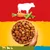 Bowl of dry pet food with visible carrot and pea pieces, cow silhouette above indicating beef content, suitable for various pets as shown by animal icons.