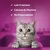 Whiskas Cat Milk - 6 x 200ml Whiskas Cat Milk - 6 x 200ml