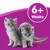 Image shows two kittens with a label stating '6+ weeks', indicating suitability for animals aged six weeks and older.