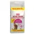 Royal Canin Feline Preference Savour Exigent cat food, 12 kg bag. Visible text: 10KG+2KG FREE GRATIS, Dual Savour Sensation, image of a cat on front.