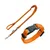 Orangefarbene Hundeleine mit Metallhaken und passendes Halsband mit schwarzer Kunststoffschnalle.