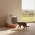 Savic Katzentoilette Nestor Jumbo