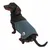 Dog wearing a fitted, blue and black coat with a badge on the side and an adjustable collar toggle, demonstrating product use.