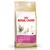 Royal Canin Feline Breed Nutrition Sphynx 33, ADULT >12 mjeseci, suha hrana za mačke, pakiranje od 2 kg. Prikazane slike sfinks mačke i granule.
