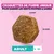 Eukanuba Premium Nutrition Adult Large et Giant Breed Agneau et Riz