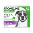 FRONTLINE Combo L, 20- 40 kg - 12 mois de protection (2 x 6 pipettes)