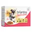 Sparpaket Briantos Chunks in Gravy 48 x 100 g - Huhn & Karotten