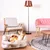 Dog lying in a grey dog bed in a modern living room with armchair, floor lamp and carpet.