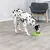 Dalmatian eating from a green anti-gulp bowl on a wooden floor. The bowl has a maze design for slow feeding.