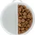 Round plastic box with two compartments, one empty and the other filled with brown dry food pieces.
