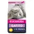 EUKANUBA GATITO, 2 kg, 1-12 meses, con pollo fresco. Envase resellable. Imagen de un gatito en el paquete. EUKANUBA GATITO, 2 kg, 1-12 meses, con pollo fresco. Envase resellable. Imagen de un gatito en el paquete.
