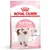 ROYAL CANIN KITTEN up to 12 months, Strong immune system, Brain development, 3 Stages visible on the packaging. ROYAL CANIN KITTEN up to 12 months, Strong immune system, Brain development, 3 Stages visible on the packaging.