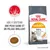Sachet ROYAL CANIN Hair & Skin pour chats, texte visible : aide à soutenir une peau saine et un pelage brillant, 90 % of owners observed good skin and coat quality after 3 weeks.
