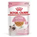 Royal Canin Kitten v želé - 12 x 85 g