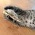 Graue Katze spielt mit einem Spielzeug aus Holz und Jute auf einem Holzboden.
