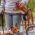 Hund mit schwarzem Geschirr und passender Leine, daneben ein weiterer Hund mit Halsband. Person streichelt den Hund mit Geschirr.