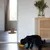Schwarzer Hund frisst aus gelbem Napf vor einem Spiegel, auf dem ein brauner Hut-Aufkleber angebracht ist. Im Hintergrund eine Holzkommode mit Vase und Blumen.