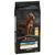 PURINA PRO PLAN Large Athletic Adult Everyday Nutrition - 16 kg