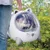 Transportbox in kattenvorm met een transparante deksel, kat zit erin. Persoon houdt de box vast aan het handvat. Transportbox in kattenvorm met een transparante deksel, kat zit erin. Persoon houdt de box vast aan het handvat.