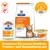 Hill's Prescription Diet Urinary Care c/d Multicare Trocken- und Nassfutter, klinisch bestätigt: Löst Struvitsteine in 7 Tagen auf. Mit Huhn und Fisch. Probieren Sie beide Sorten aus. Hill's Prescription Diet Urinary Care c/d Multicare Trocken- und Nassfutter, klinisch bestätigt: Löst Struvitsteine in 7 Tagen auf. Mit Huhn und Fisch. Probieren Sie beide Sorten aus.