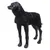 Svart hundjacka i fleece på en svart hundstaty, med reflekterande rand och synlig sidostängning. Svart hundjacka i fleece på en svart hundstaty, med reflekterande rand och synlig sidostängning.